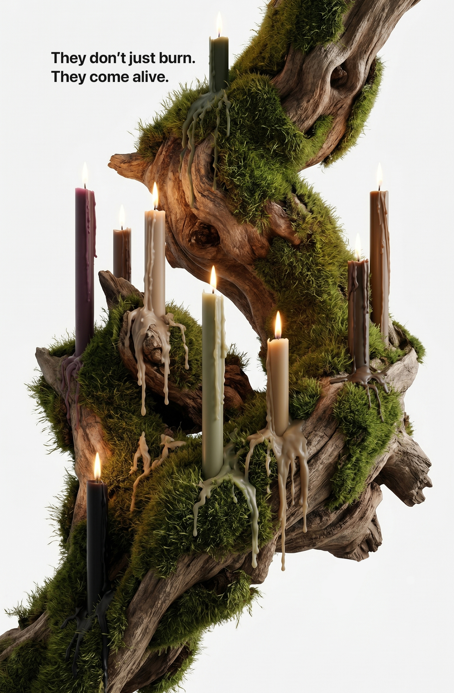Candles